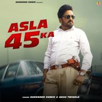 Asla 45 Ka Surender Romio, Ashu Twinkle mp3 song ringtone, Asla 45 Ka Surender Romio, Ashu Twinkle Ringtone Download - RiskyJatt.Com