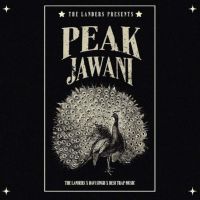 Peak Jawani The Landers mp3 song ringtone, Peak Jawani The Landers Ringtone Download - RiskyJatt.Com