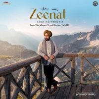 Zeenat (The Adornment) Satinder Sartaaj mp3 song ringtone, Zeenat (The Adornment) Satinder Sartaaj Ringtone Download - RiskyJatt.Com