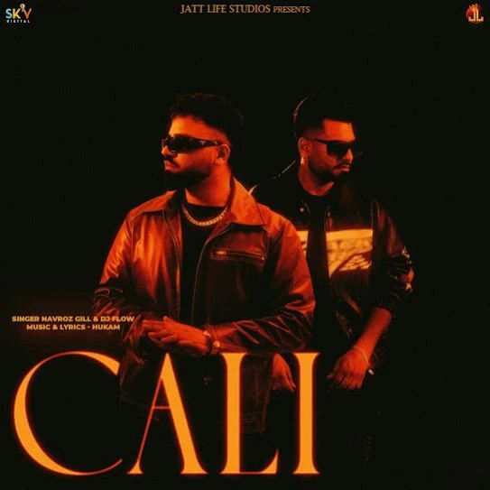 Navroz Gill New Songs and Top 20 Albums