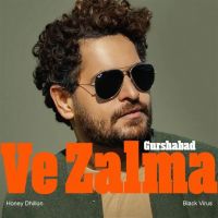 Meri Nai Gurshabad mp3 song ringtone, Ve Zalma Gurshabad Ringtone Download - RiskyJatt.Com