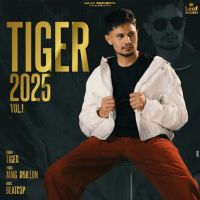 Saah Tiger mp3 song ringtone, Tiger 2025 Vol. 1 Tiger Ringtone Download - RiskyJatt.Com