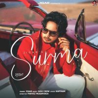 Jigar new songs on riskyjatt. Download Jigar albums and top 20 songs