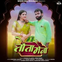 Tota Maina Pawan Pilaniya, Nonu Rana mp3 song ringtone, Tota Maina Pawan Pilaniya, Nonu Rana Ringtone Download - RiskyJatt.Com