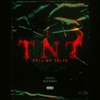 TNT Jxggi mp3 song ringtone, TNT Jxggi Ringtone Download - RiskyJatt.Com