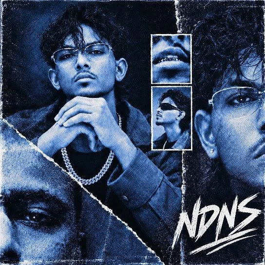 Ndns Manav Gill mp3 songs download